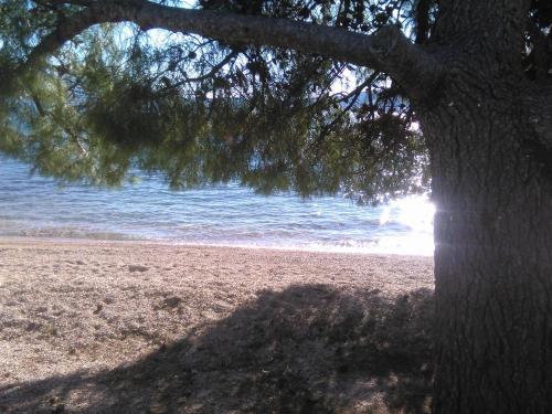 Apartmani Jelena - image 7