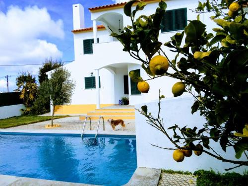  Casa do Pinheiro, private pool, Ferienwohnung in Ericeira