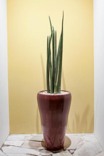 Pousada Sol e Mar Pousada Sol e Mar