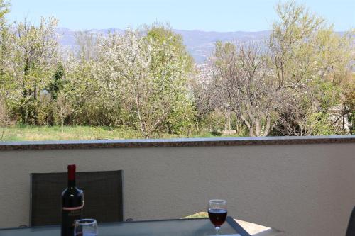 Apartments Mirjana - image 10