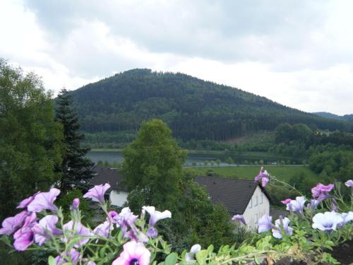 Facilities, Apartment Schoenblick in Niedersfeld