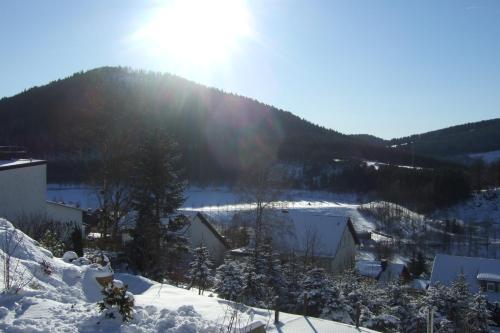 View, Apartment Schoenblick in Niedersfeld