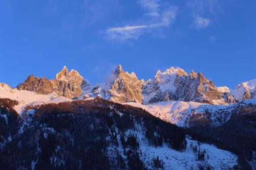 Grand appt vue Mont Blanc