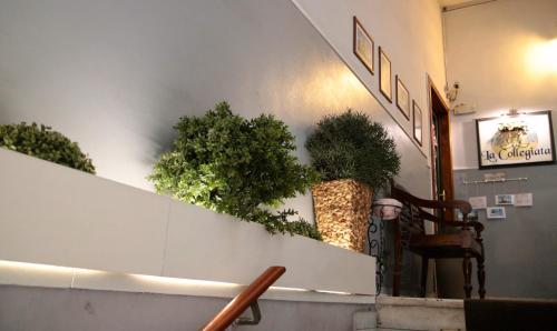 La Collegiata Guest House - image 9