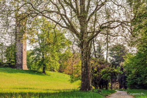 Villa Cagnola, Varese (zdjęcie 7)