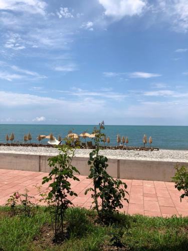 Dreamland oasis in Chakvi Dreamland oasis in Chakvi