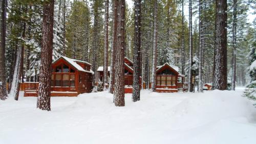 Cedar Pines Resort