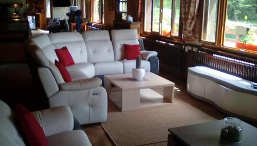 Grand Chalet Du Lac Du Boreon in Saint-Martin Vesubie