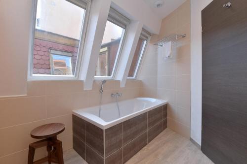 LES SUITES DU CYGNE - Apartment - Colmar