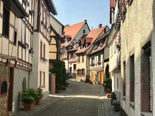 ทัศนียภาพ, Büdinger Hof (Budinger Hof) in ไวน์ไฮม์