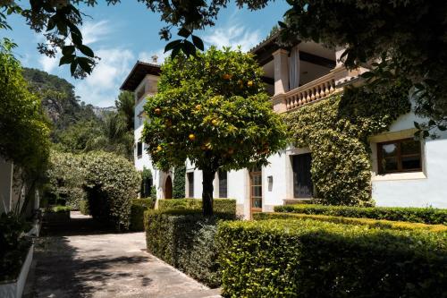 Alfabia Nou Agroturismo - image 4