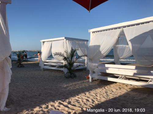 Hotel Corsa - image 11