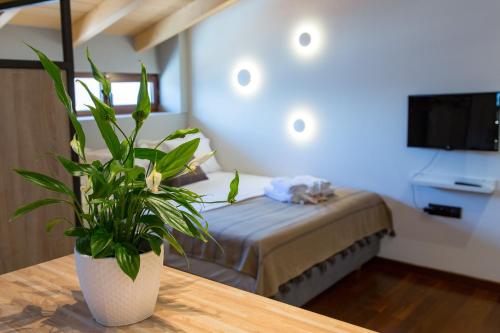 Sofita Hotel - image 8