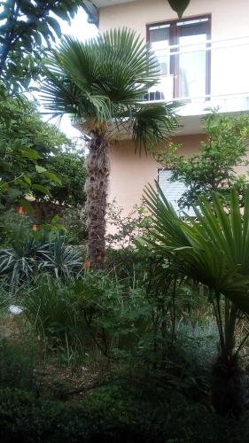 Villa Calypso - image 3