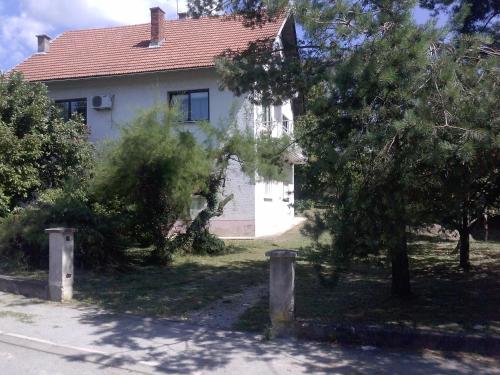 Kert, Random Room in Trnje