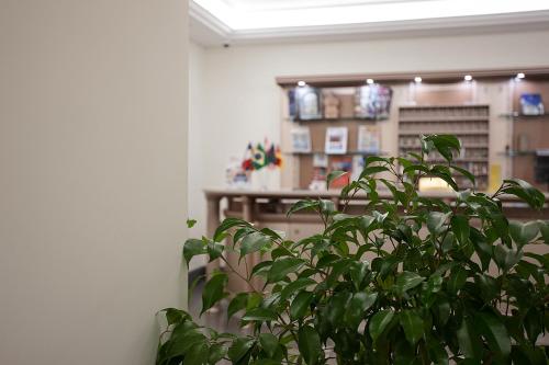 Albergo del Golfo - image 8