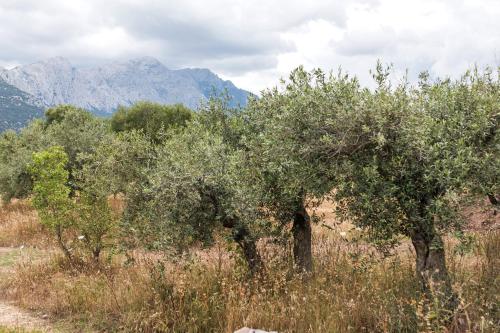 S'Ulumu, Dorgali (zdjęcie 4)
