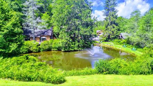 . Mitchells Lodge and Cottages