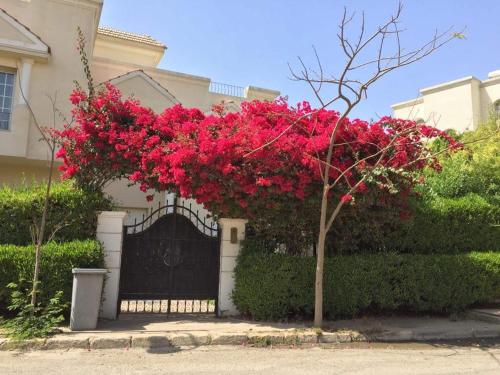 Villa 27A, Madinat as-Sadis min Uktubar (Foto 7)