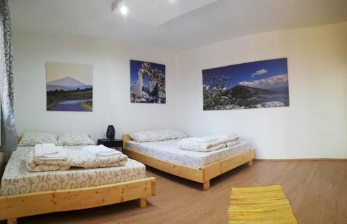 Rtanjski konak - image 5