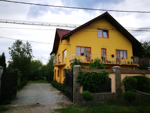 B&B Cărpiniș - Pensiunea Ramona - Bed and Breakfast Cărpiniș