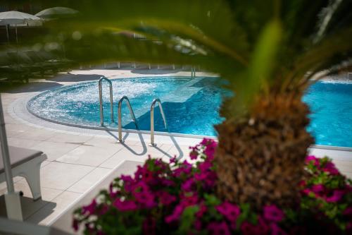 International Beach Hotel - image 7