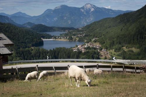 B&B Cuore Trentino