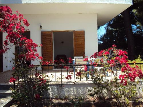 Country House - Accommodation - Mati