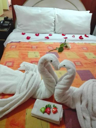 Puma Hostel Puno, Peru - 90 reviews, prices | Planet of Hotels