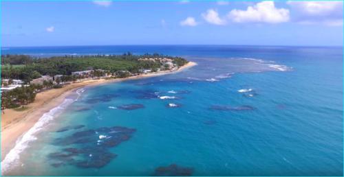 Gorgeous beach front studio - image 2