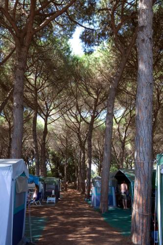 Camping Village Africa - main image