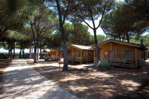 Camping Village Africa - image 8