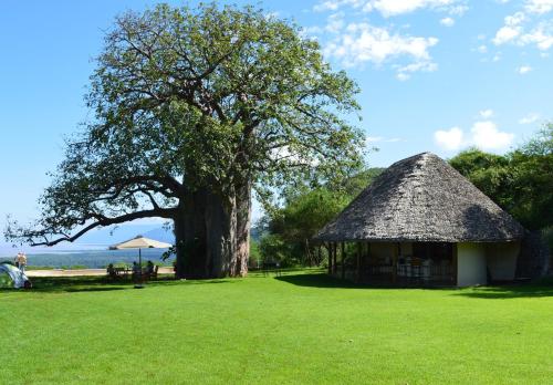 Restaurant, Migombani Camp in Mto Wa Mbu