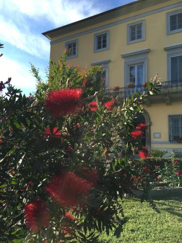 B&B Villa Pardi Lucca - image 14