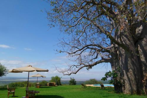 Garden, Migombani Camp in Mto Wa Mbu