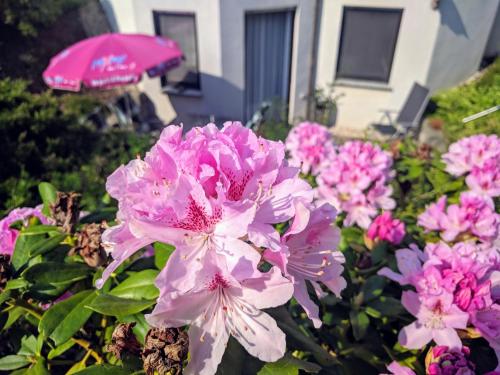 Ferienwohnung mit Terrasse