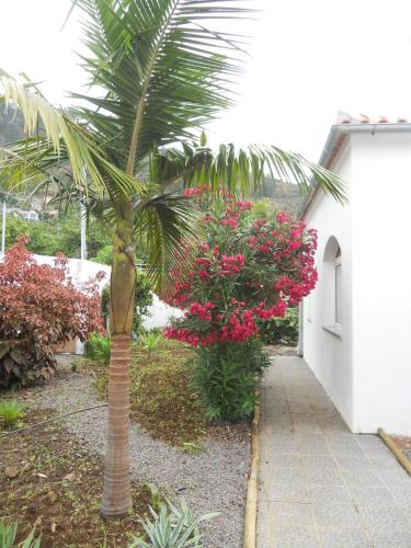  CASA BOUGAINVILHA Apartement in Arco da Calheta