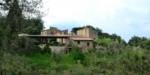 Piccozzo agritour - Accommodation - Casciana Terme