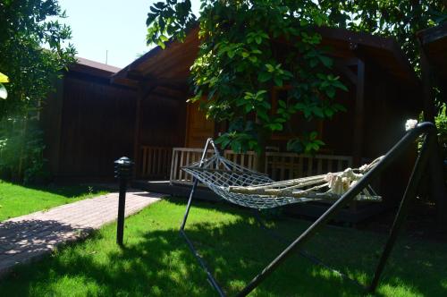 caretta-caretta-pension