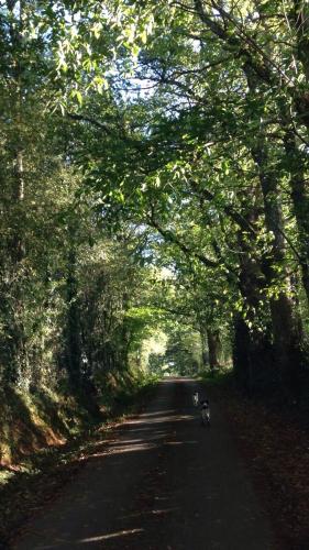 Maison typique Limousine chambre d'hôte Forêt de Magnac-Laval