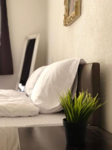 One-Bedroom Apartment room in Musik Apartments Old Town