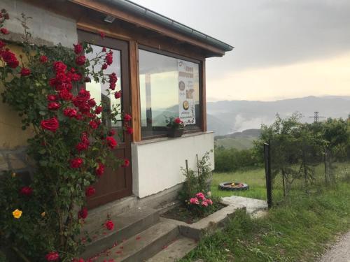 Guest House Chala - image 13