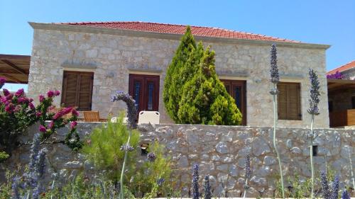 Cohili Villa - image 5