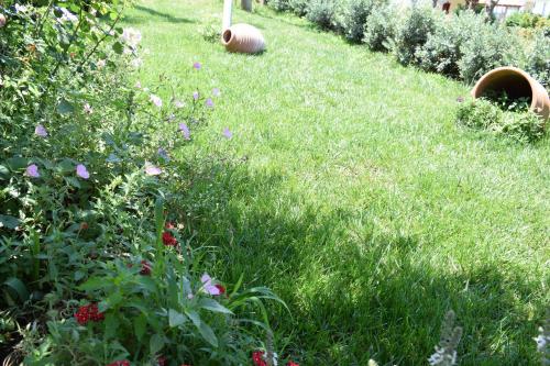 Studio Holiday Kalamata 2