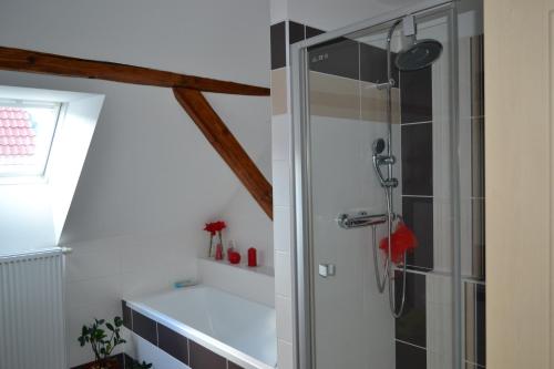 Apartmány Nezdice na Šumavě - image 4