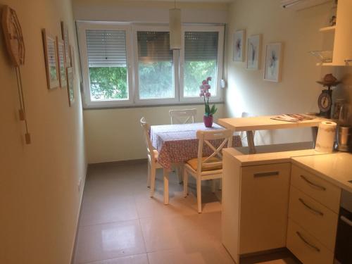  Apartman Sanja in Drniš