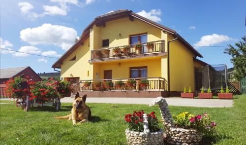  Apartment Satori in Korenica