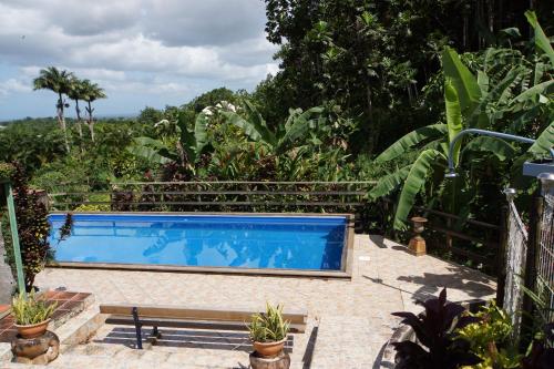 Zwembad, DOMAINE de VALCINE 3 gites parc et piscine a 4 mn de la distillerie DBM, des 1er commerces et de la  in Sainte Rose