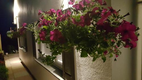 Marthys Bed & Breakfast - image 6