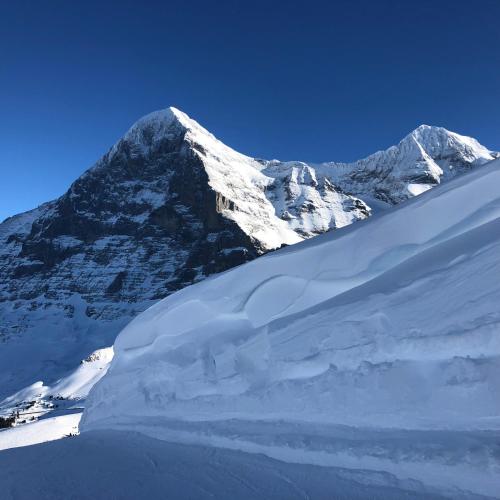Chalet Asterix, Grindelwald (photo 4)